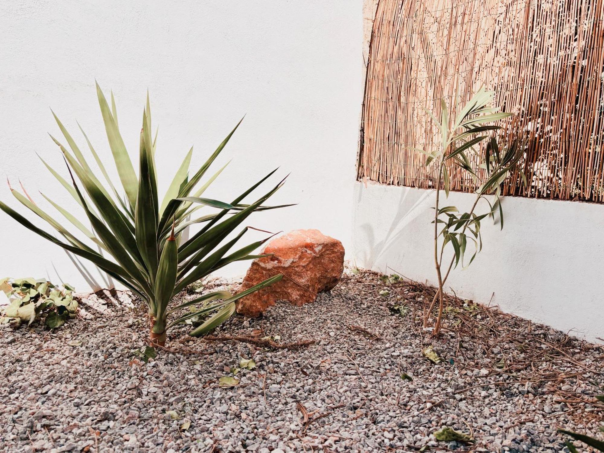 Appartement Avec Jardin Privatif A 300M De La Plage *2* Canet-en-Roussillon Eksteriør billede